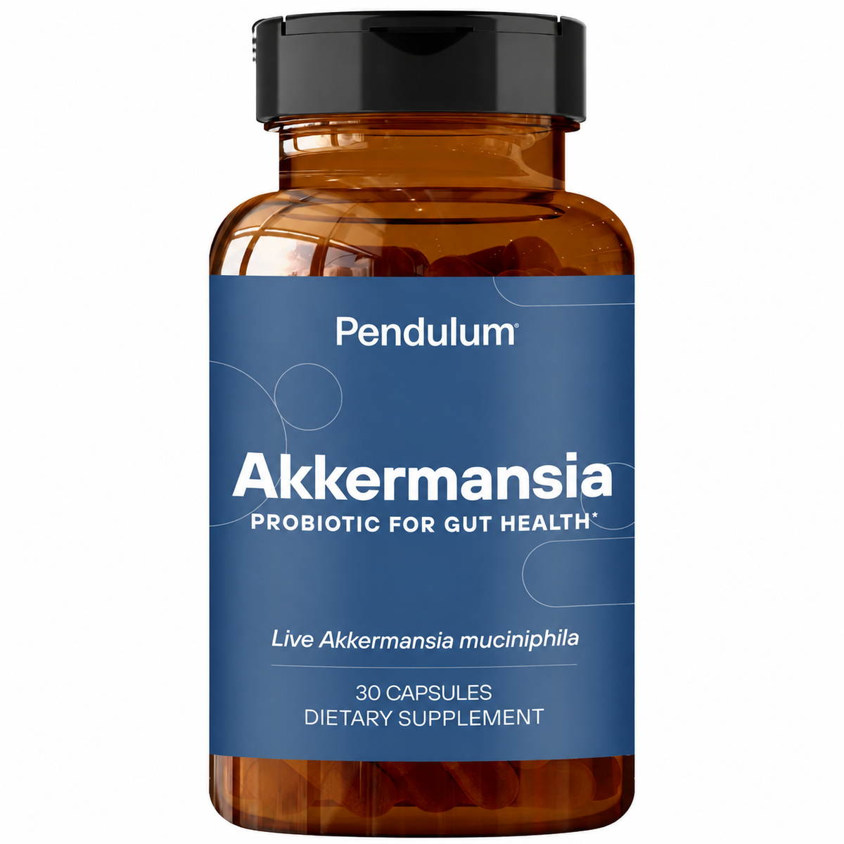 Pendulum Akkermansia